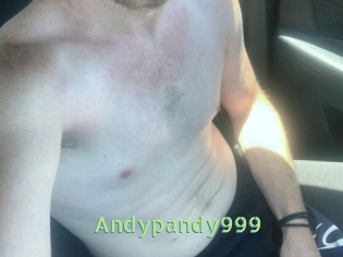 Andypandy999