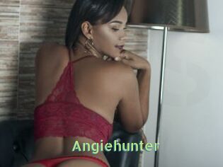 Angiehunter