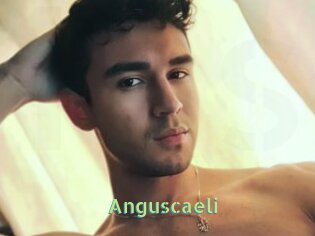 Anguscaeli
