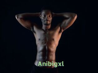 Anibigxl