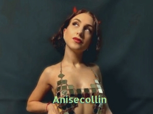 Anisecollin