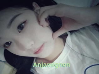 Anjamignon