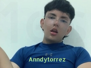 Anndytorrez