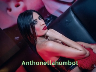 Anthonellahumbot