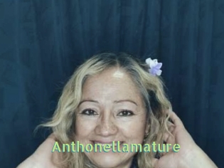 Anthonellamature