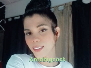 Antobigcock