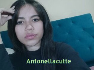Antonellacutte
