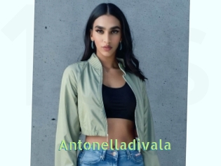 Antonelladivala
