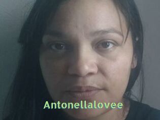 Antonellalovee