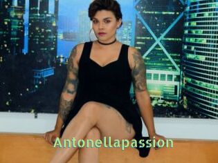 Antonellapassion