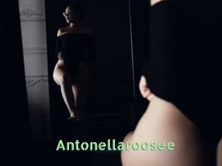Antonellaroosee