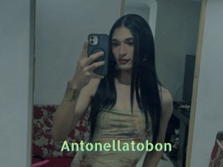 Antonellatobon
