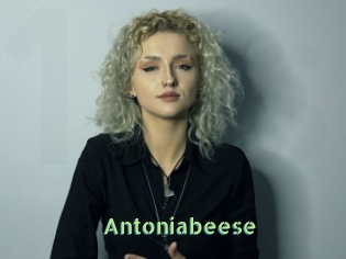 Antoniabeese