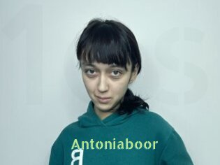 Antoniaboor