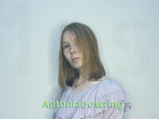 Antoniabowring