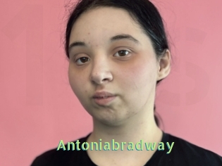 Antoniabradway