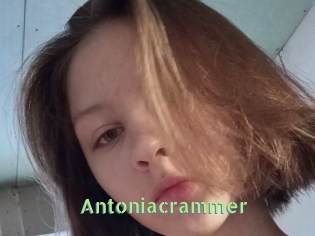 antoniacrammer Une Etudiante Sexy