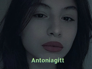 Antoniagitt