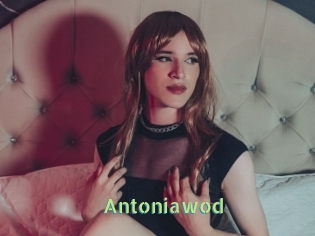 Antoniawod