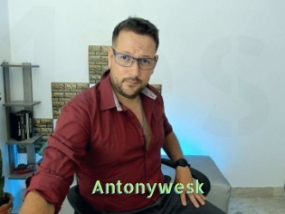Antonywesk
