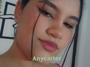 Anycarter