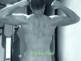 Aquachar