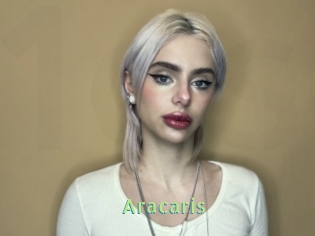Aracaris
