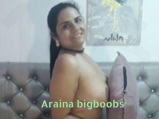 Araina_bigboobs