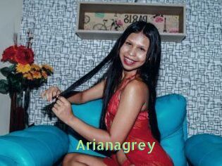 Arianagrey