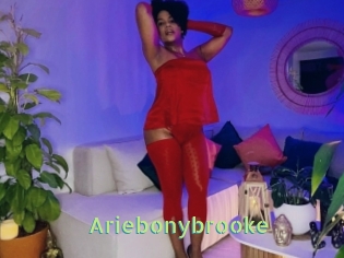 Ariebonybrooke