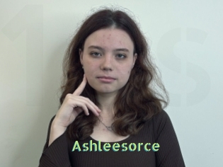 Ashleesorce
