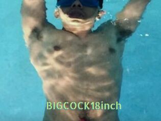 BIGCOCK18inch