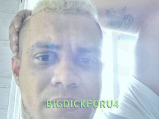 BIGDICKFORU4