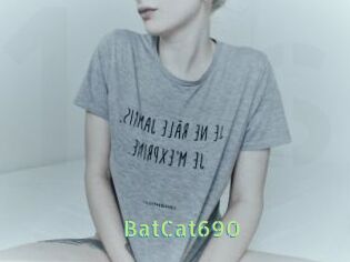BatCat690