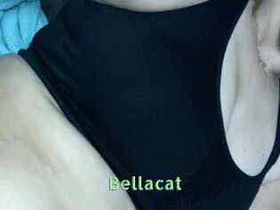Bella_cat
