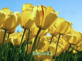 BelleB3