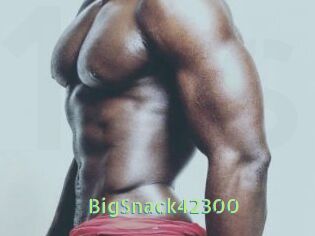 BigSnack42300