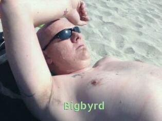 Bigbyrd