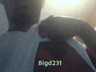 Bigd231