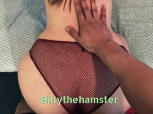 Billythehamster