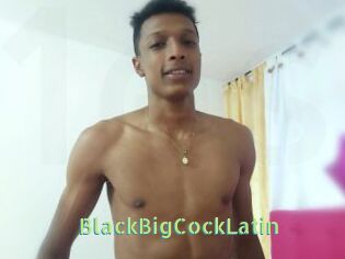 BlackBigCockLatin