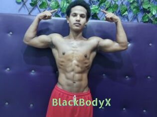 BlackBodyX