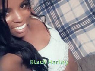Black_Harley