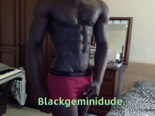 Blackgeminidude