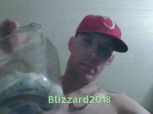 Blizzard2018