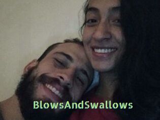 BlowsAndSwallows