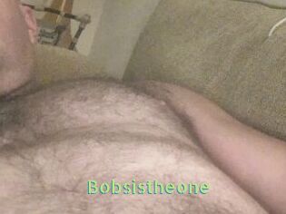 Bobsistheone