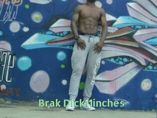 Brak_Dick11inches
