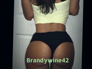 Brandywine42