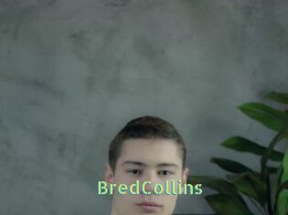 BredCollins